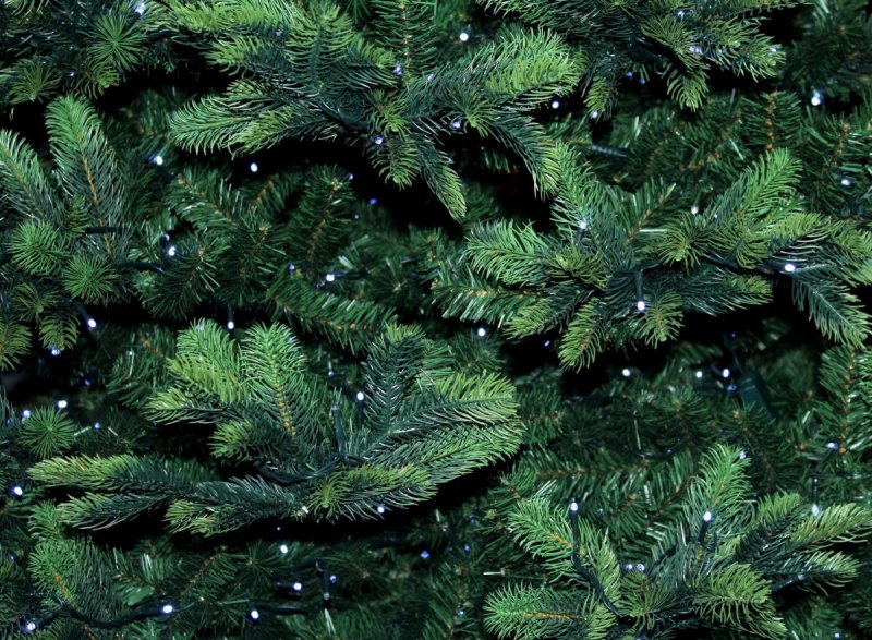 Pinus елка пихта зелено/голубая 2.7