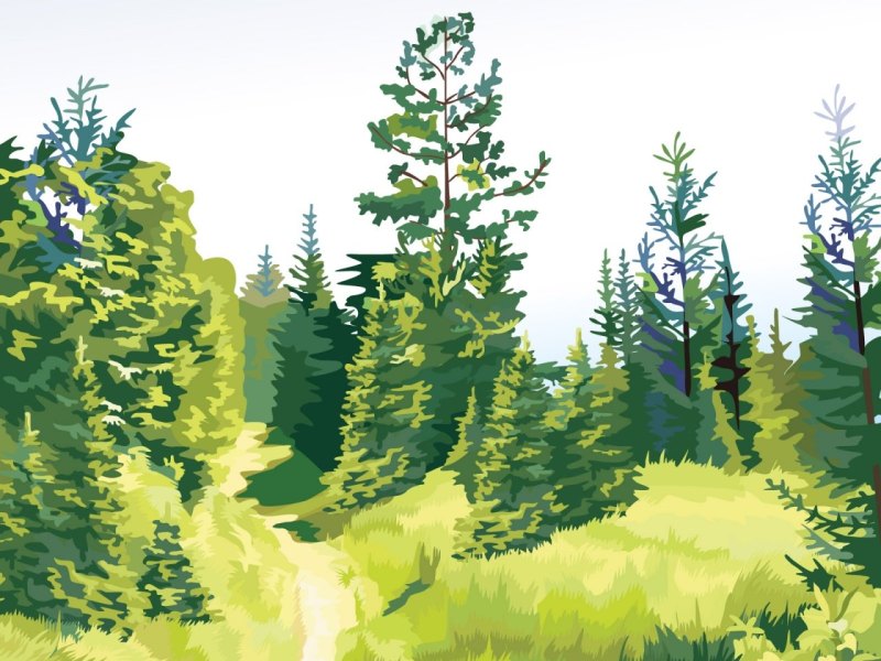 Рисунок леса