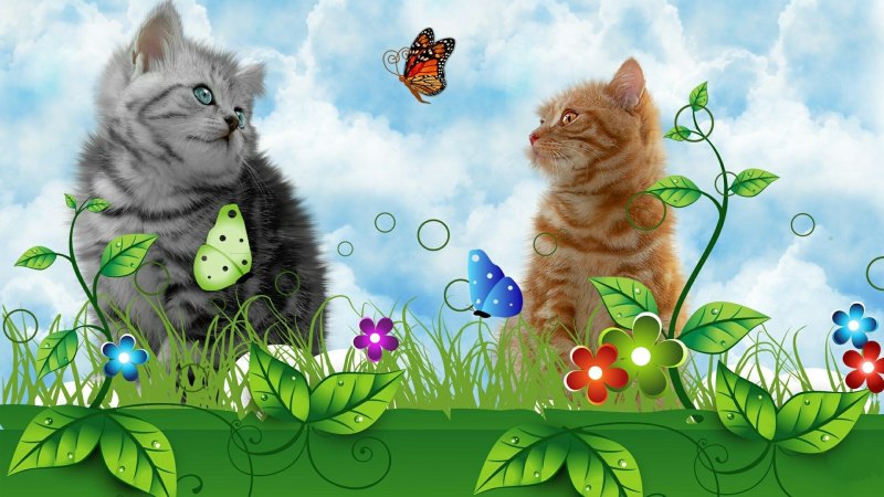 Много котиков фон