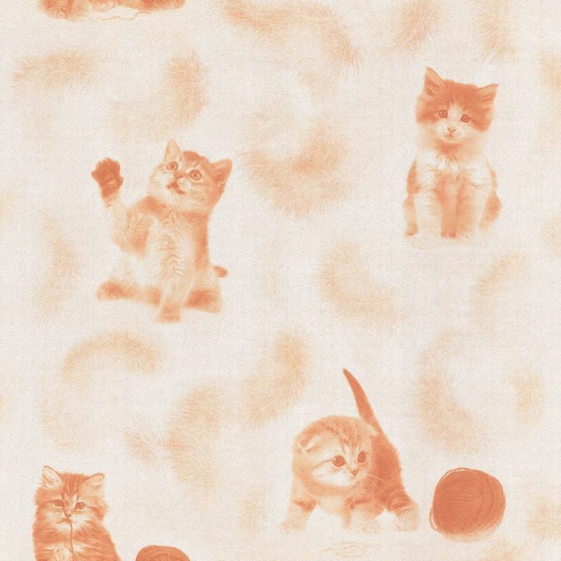 Котик на бежевом фоне