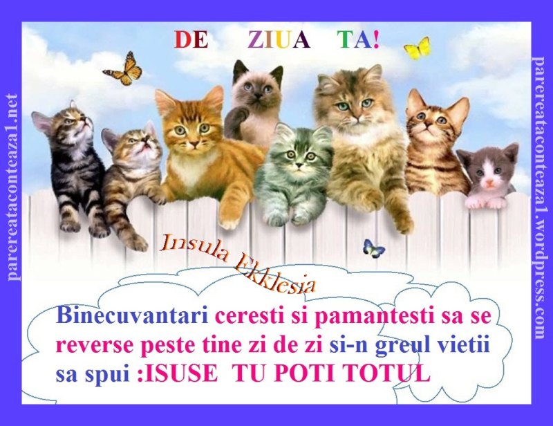 Котики мультяшные
