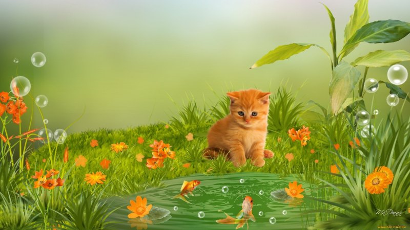 Наклейки на стену кошки