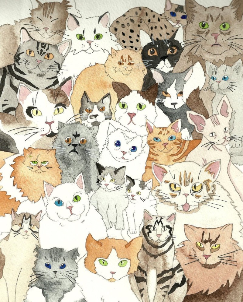 Обои котик в кружке
