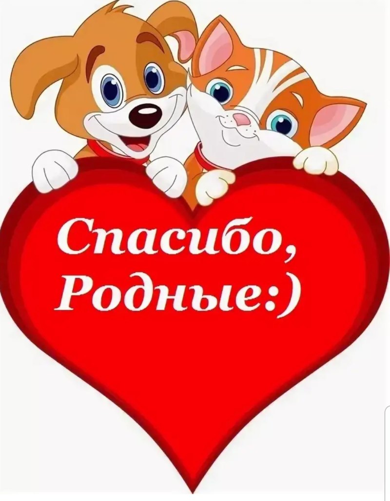 Спасибо Мои родные
