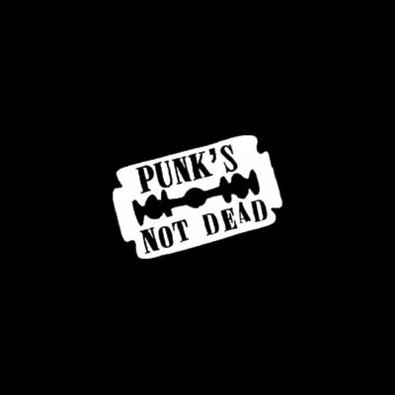 Картинка punks not dead