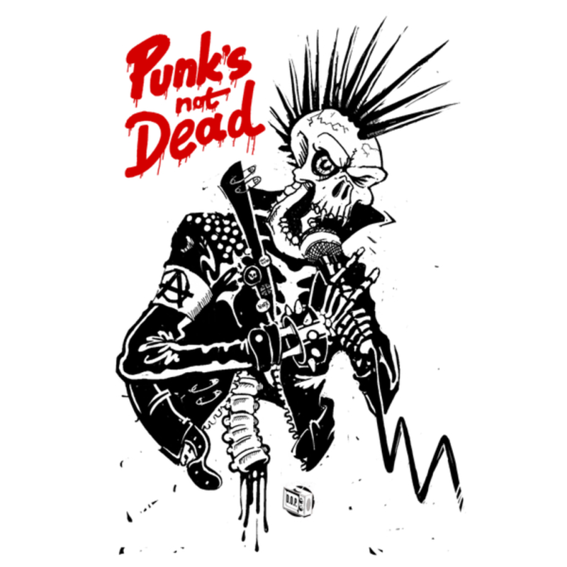 Картинка punks not dead