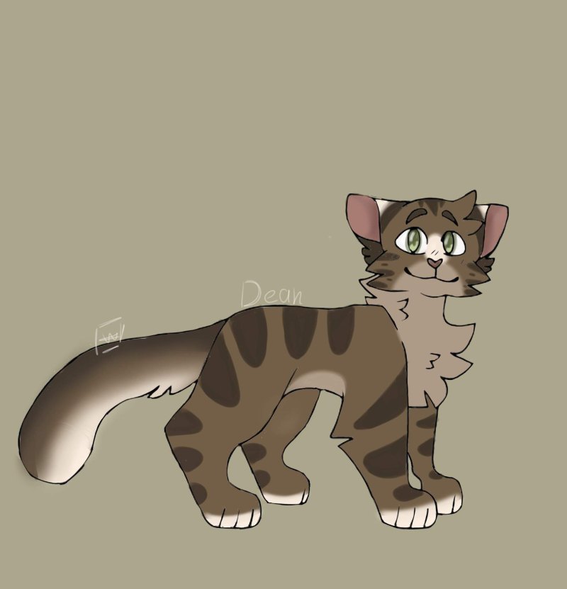 Коты Воители Знамение Луны