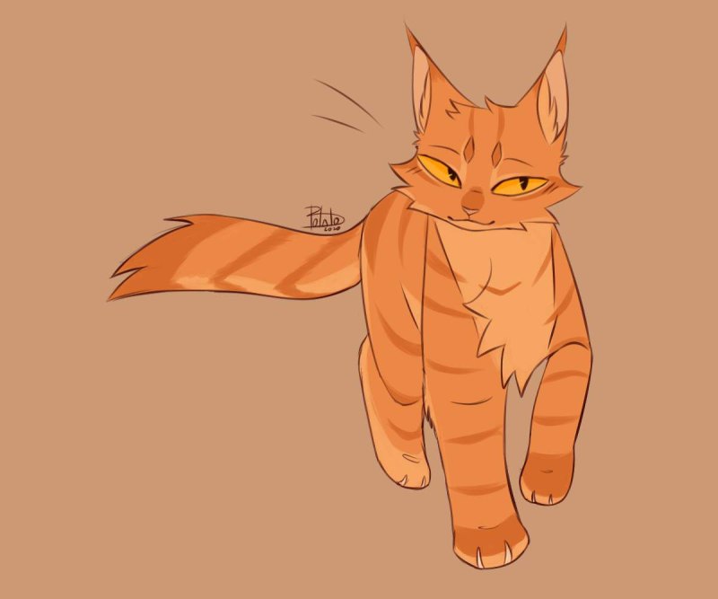 Коты Воители Метеор