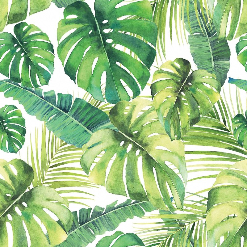 Alfresco Palm Leaf Wallpaper White Green Jungle Tropical 2744-24136