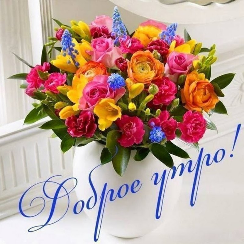 Утренняя роза