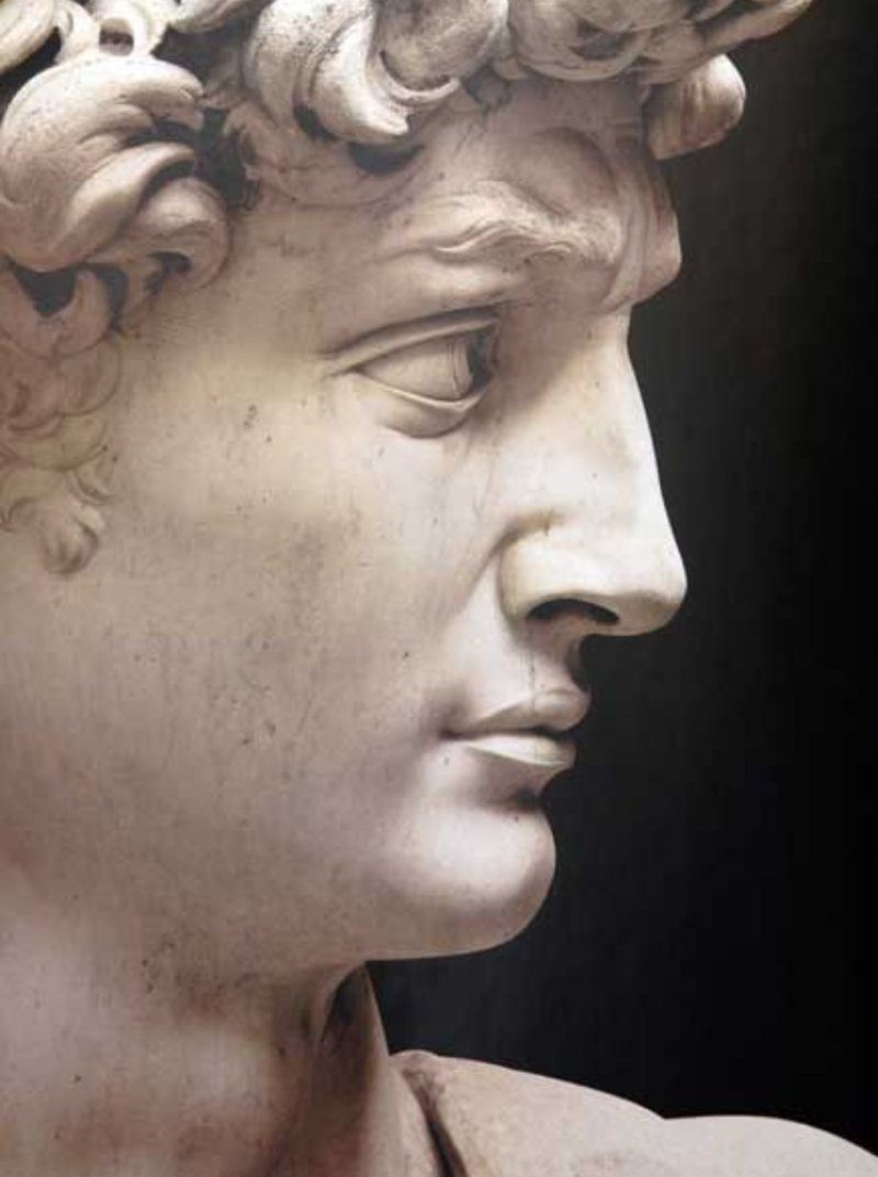 Скульптурный портрет Давид Микеланджело
