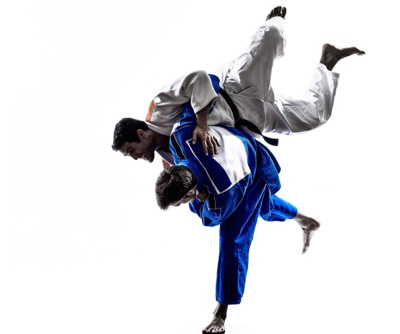 Фотообои Judo