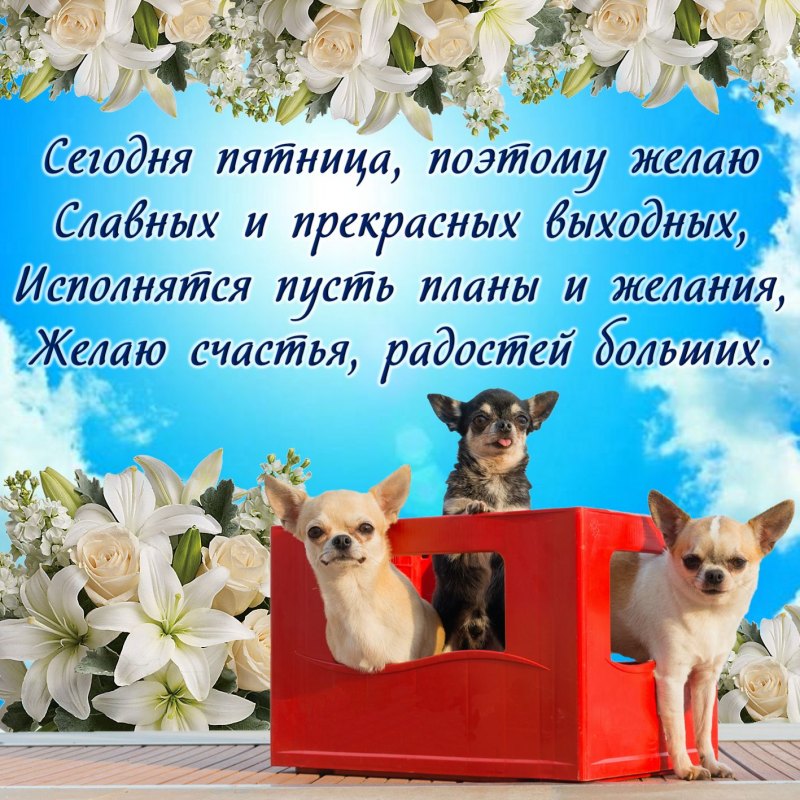 Вот и пятница хороших выходных