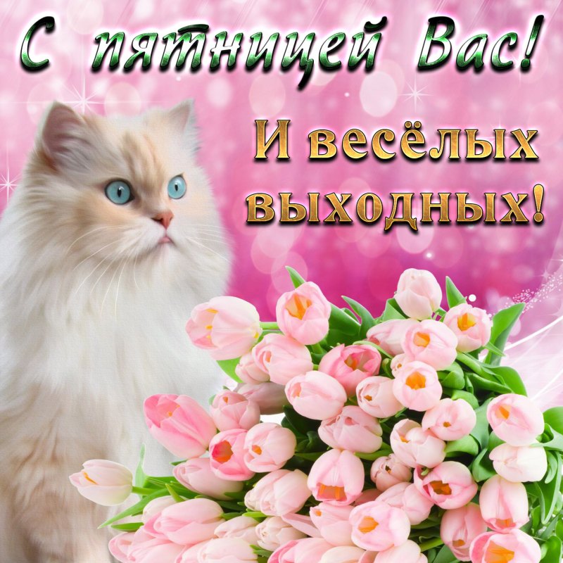 Пятница открытки красивые