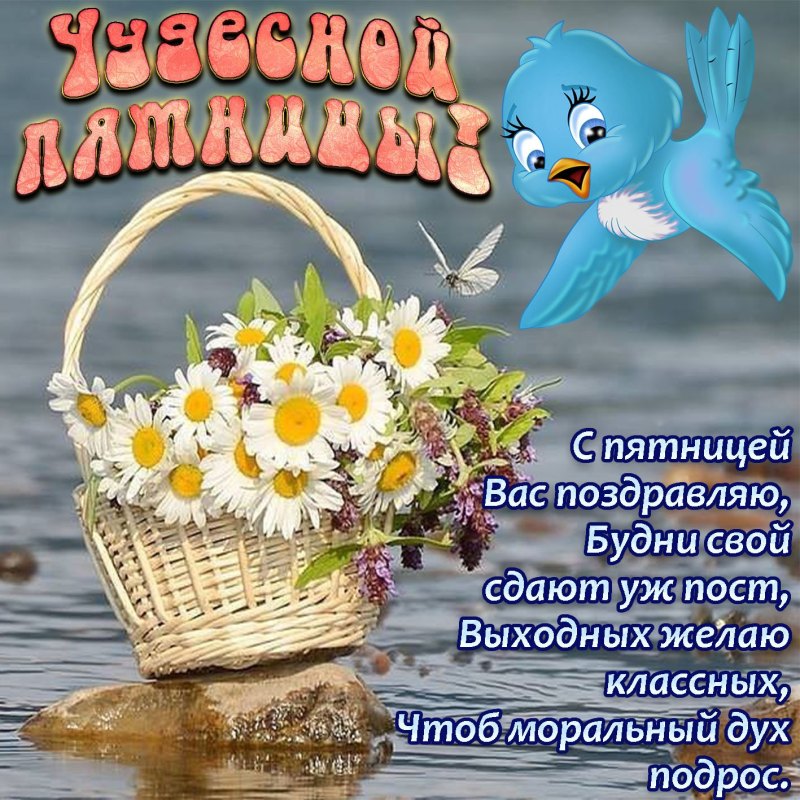 С пятницей прекрасных выходных