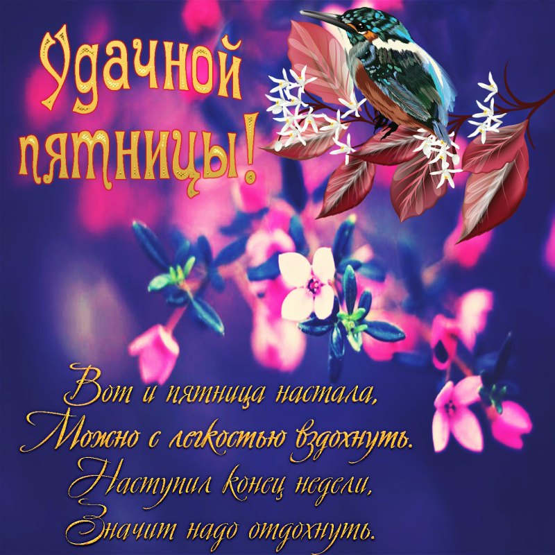 Добрый вечер пятницы