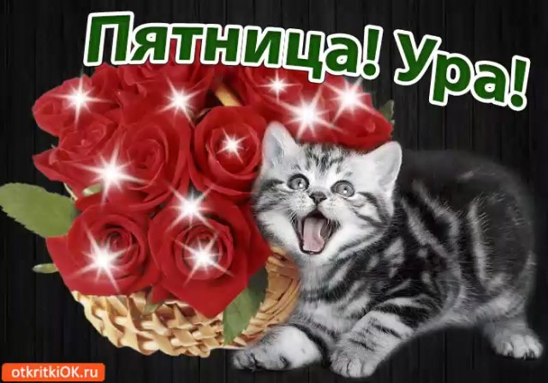Открытки отличных выходных