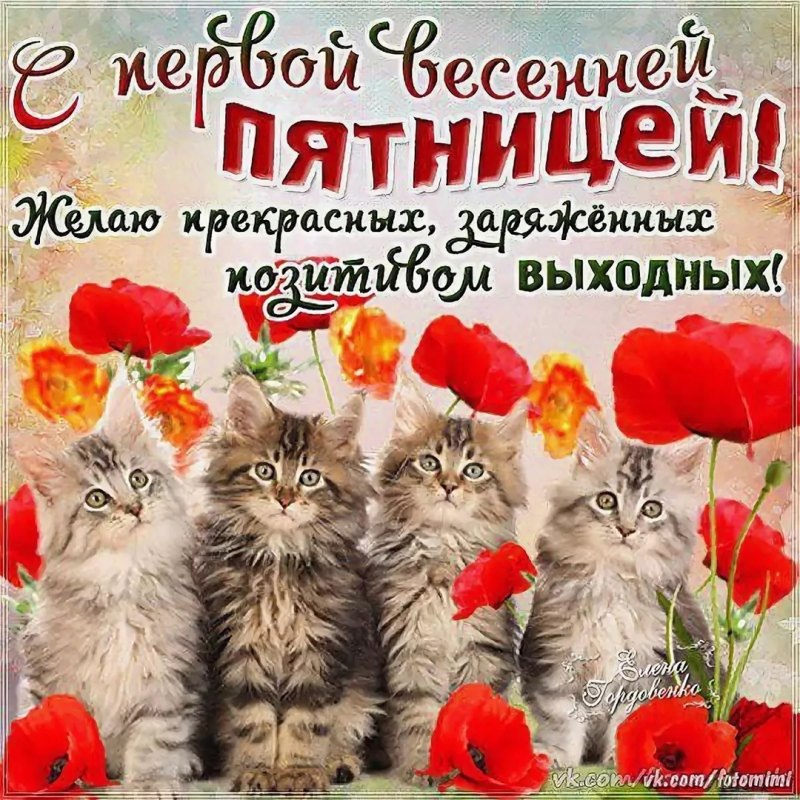 Приятного вечера и хороших выходных