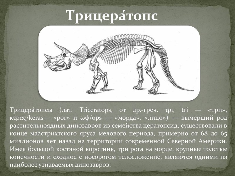 Презентация на тему динозавры 7 класс по биологии