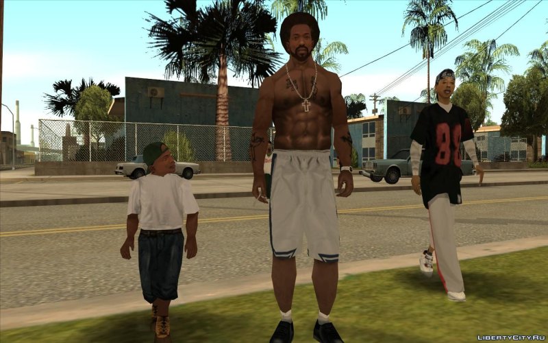 Скин CJ для GTA sa
