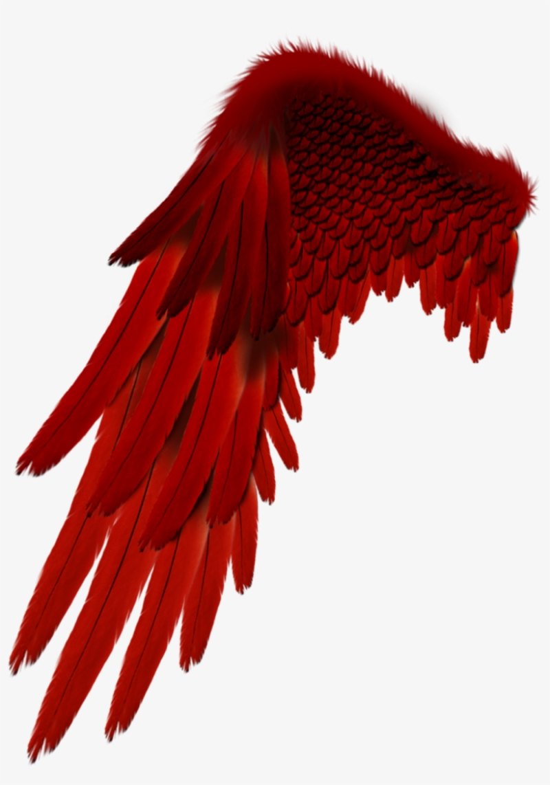 Красные Крылья