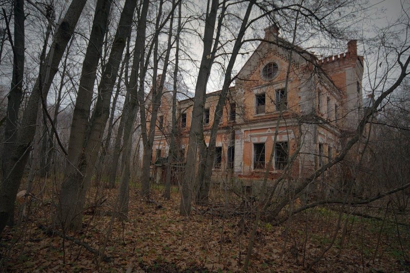 Дворец усадьба Карла фон Мекка в Хрусловке