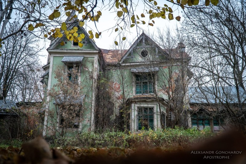 Копылов усадьба фон Мекка