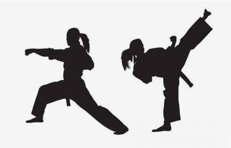 Каратэ киокусинкай девочка силуэт