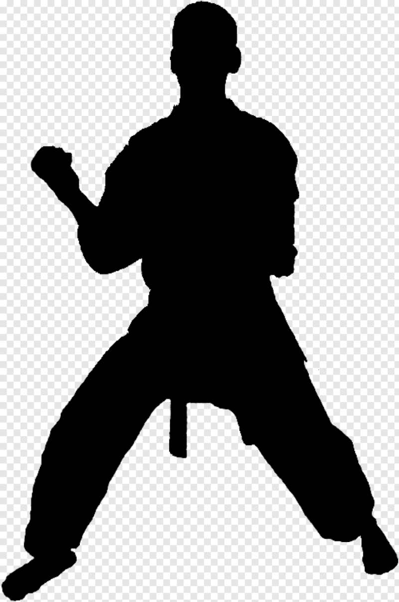 Каратэ киокушинкай силуэт
