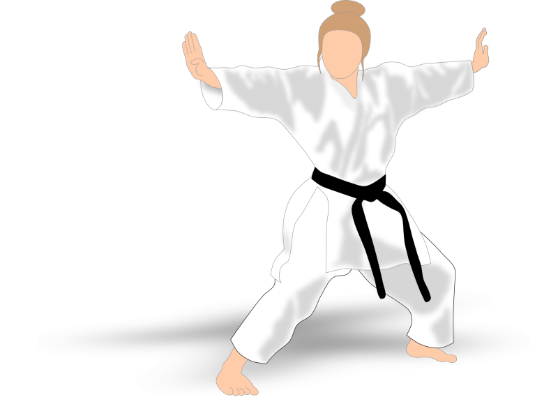 Восточные единоборства