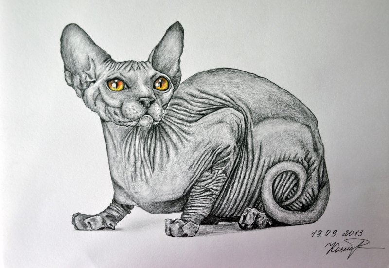 Сфинкс карандашом