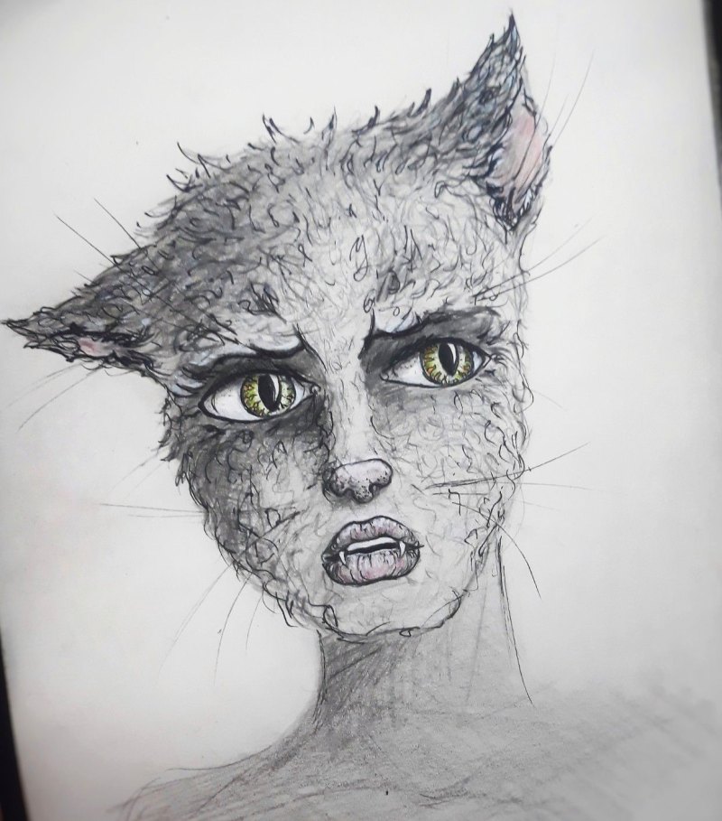 Лицо кота карандашом