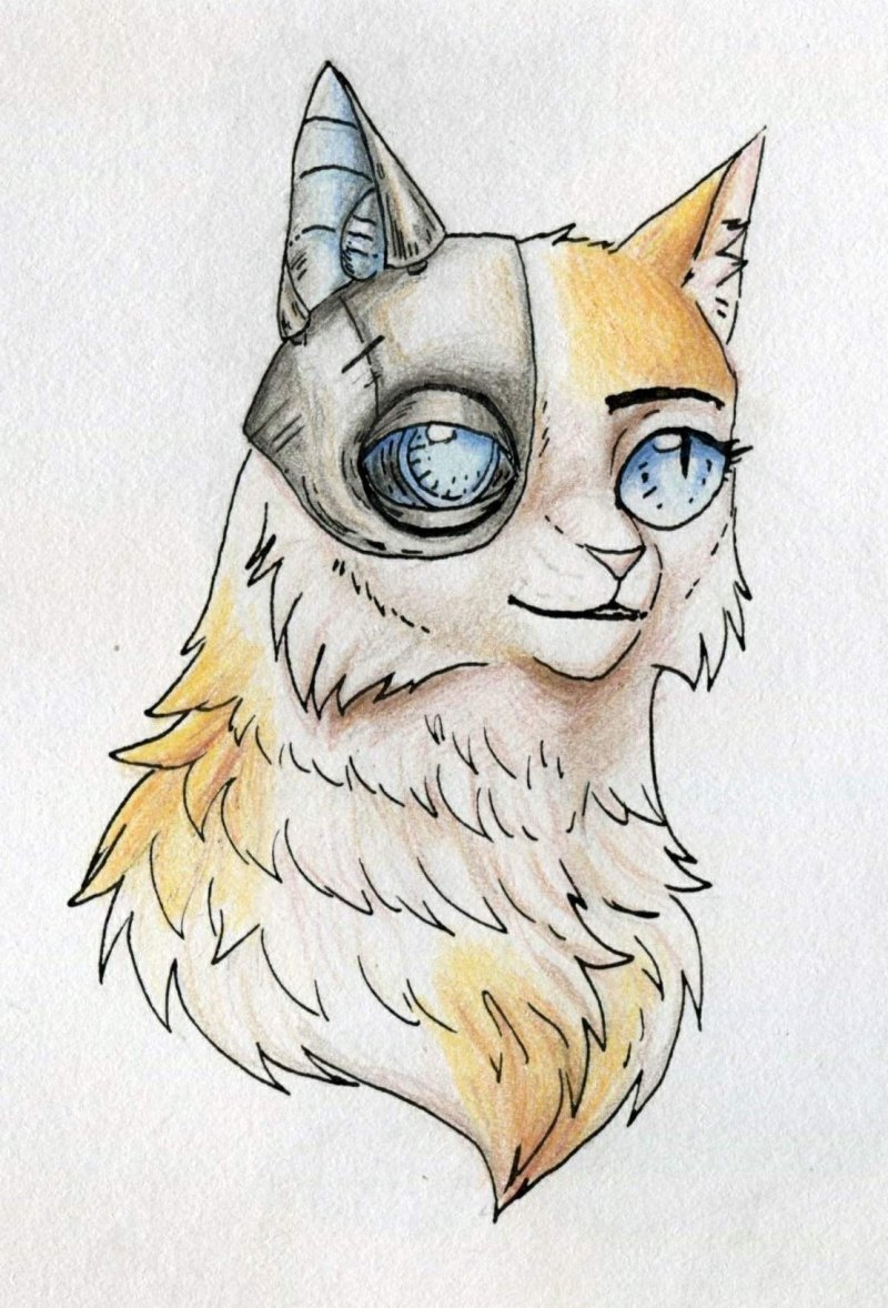 Арты котов для срисовки
