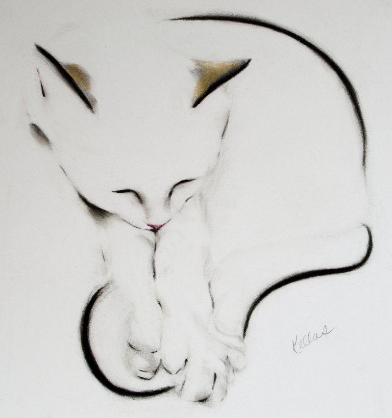 Тату карандашом кошки