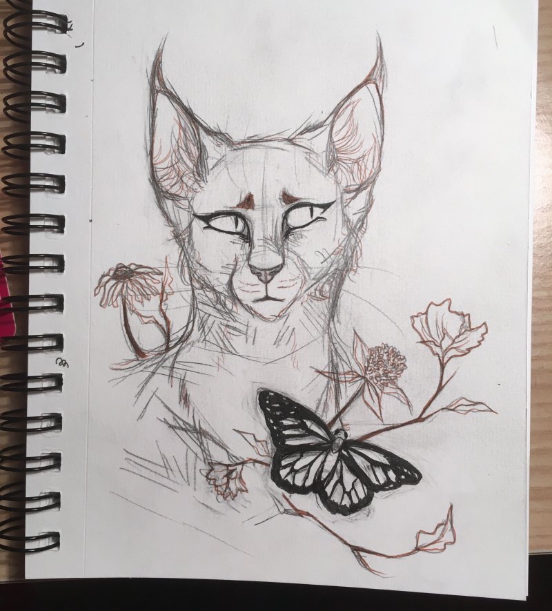 Скетчбук кошки