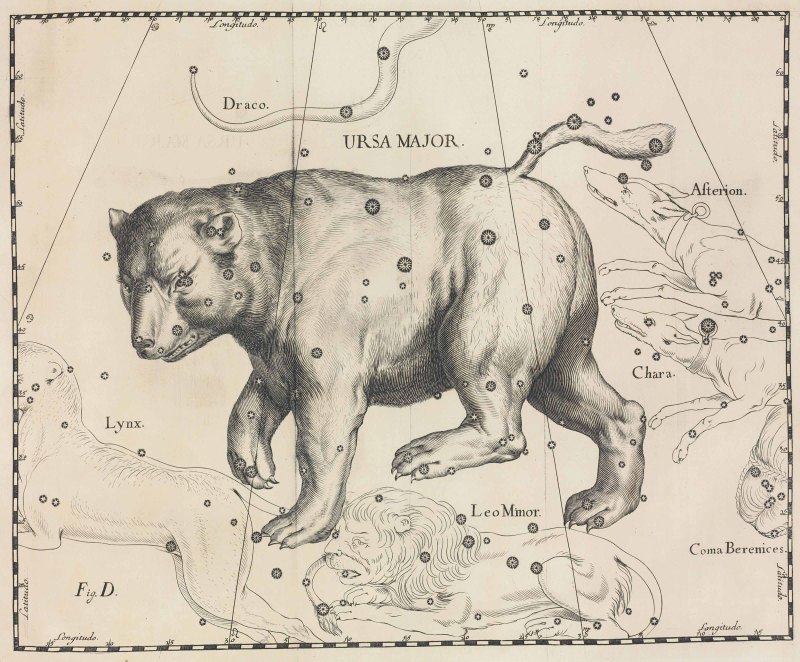 Атлас Яна Гевелия медведицы