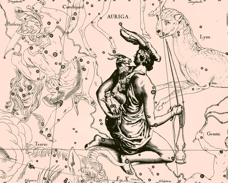 Ян гевелий возничий