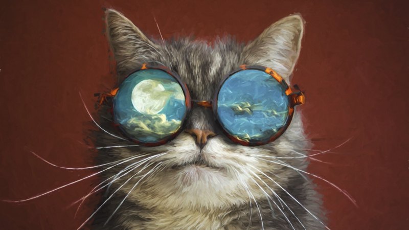 Кошечка в очках