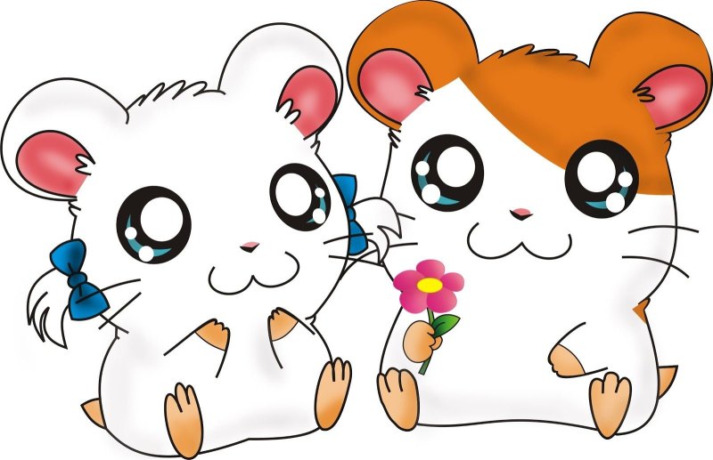 Хомячки Hamtaro