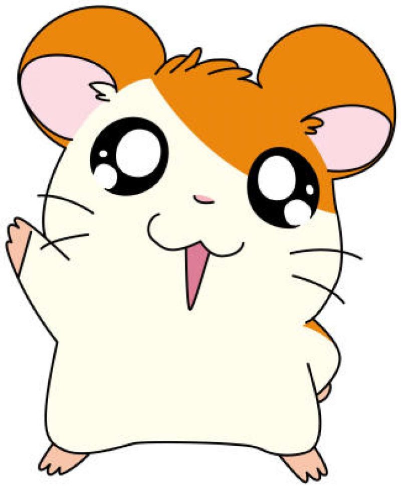 Hamtaro мультсериал