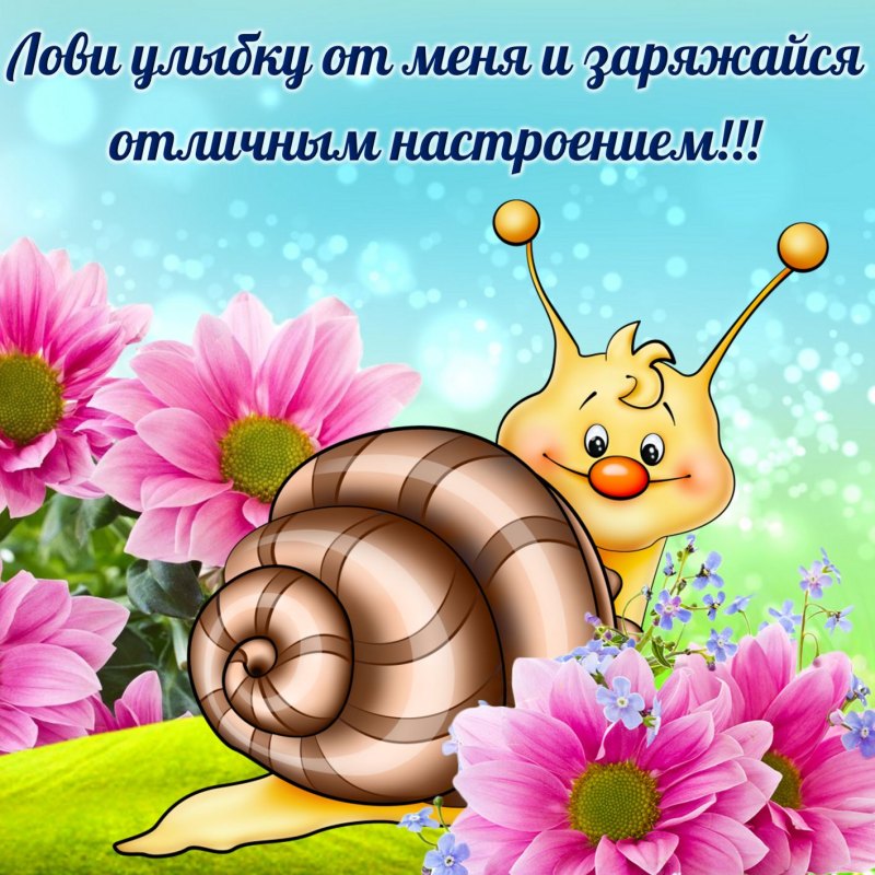 Креативное поздравление с днем рождения