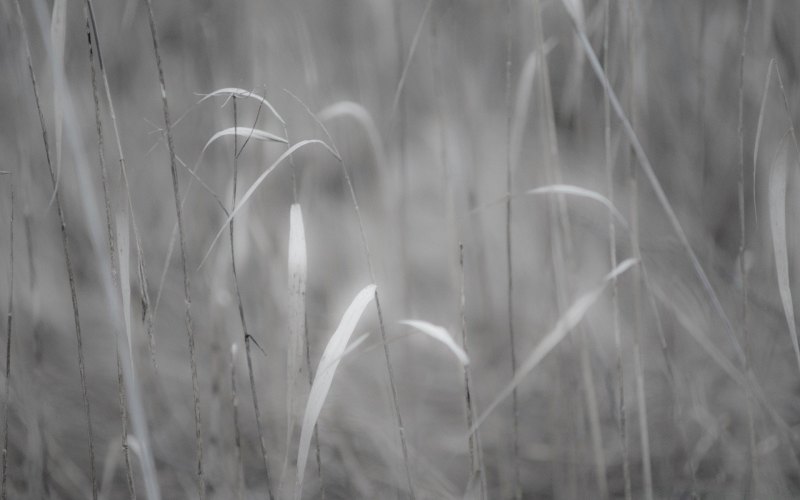 Эстетика серого