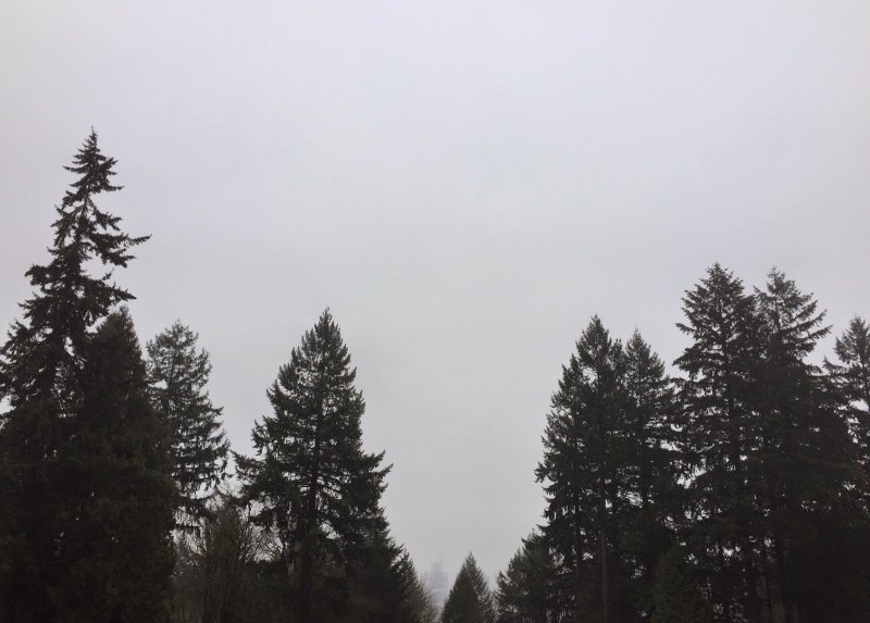 Эстетика серого цвета