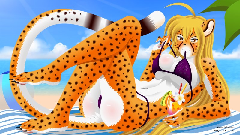 Фурри гепард референс