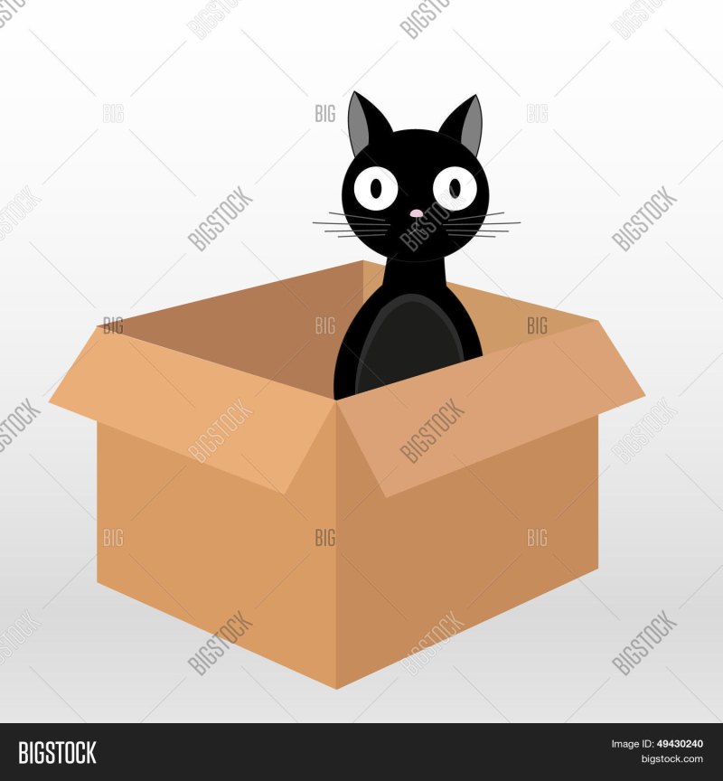 Нарисовать кота в коробке