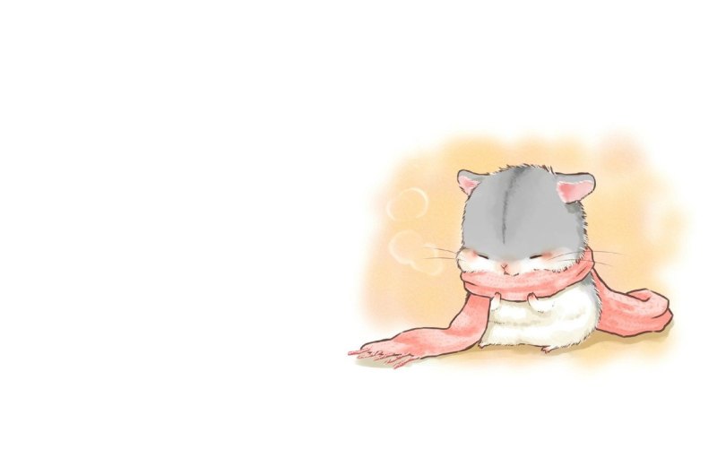 Хомяк хамтаро