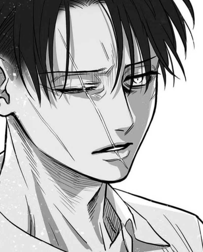 Леви Аккерман портрет