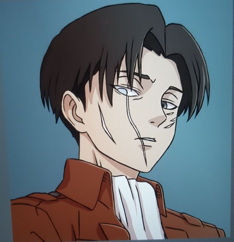 Капрал Леви