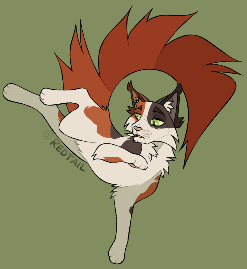 Mapleshade and Tigerstar