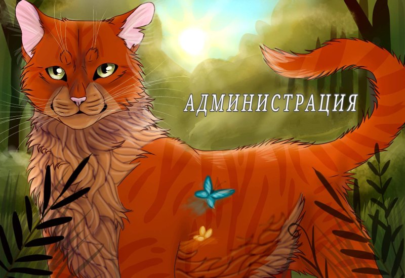 Коты Воители клён Амино